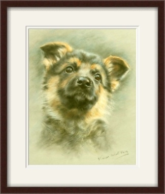 dog