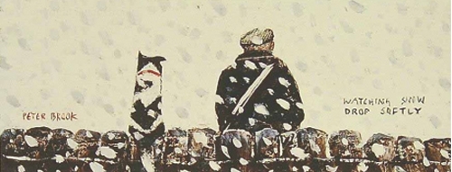 Watching Snow drop Softly