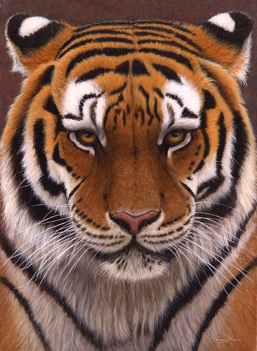 Intense(Siberian Tiger)