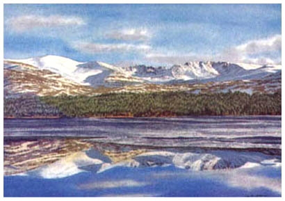Cairngorms & Loch Morlich