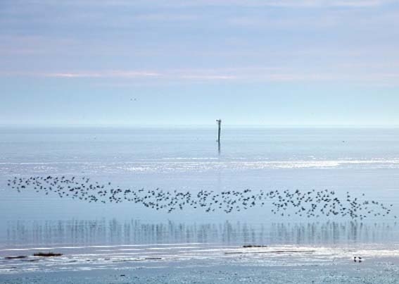 Lytham Estuary Winter