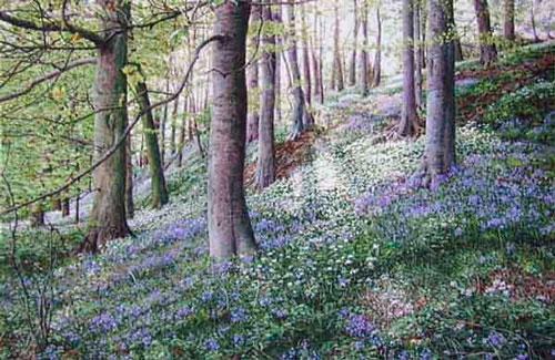 Bluebells and Ransoms