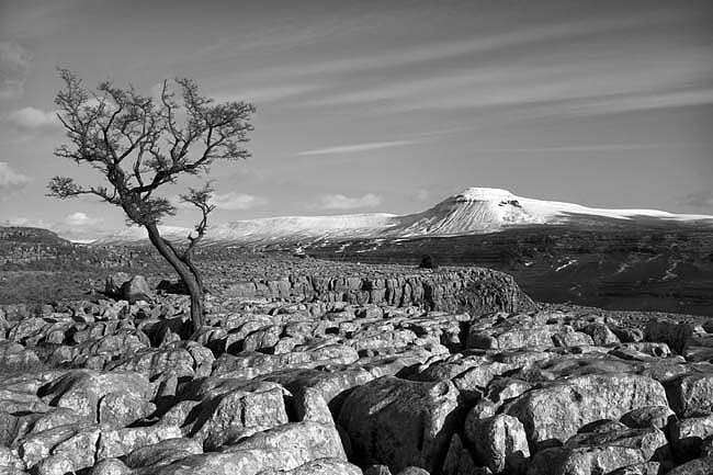 Ingleborough Limestone Land