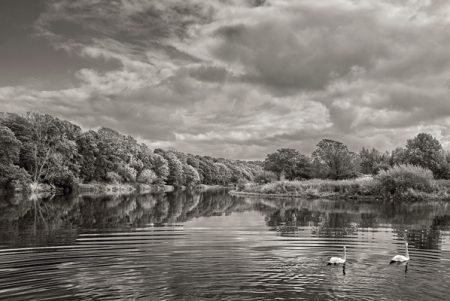 Autumn on the River Ribble