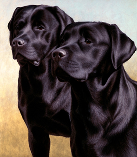 Two of a Kind - Black Labradors