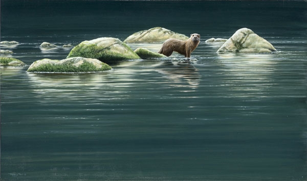 Otter - Islands