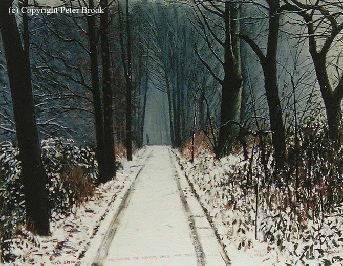The Woods are Lovely Dark & Deep