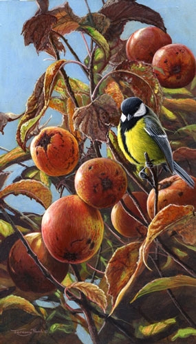 Crab Apples with Great Tit