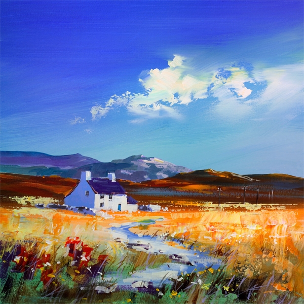 Yellow Poppy Fields