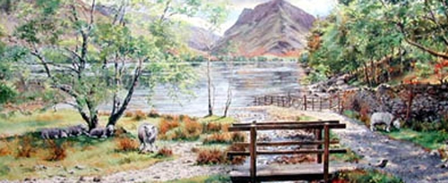 Lakeside Tranquility