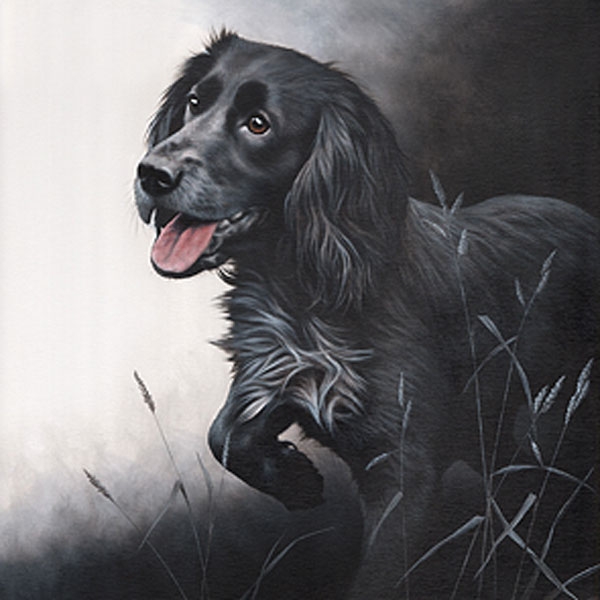 Field Sports - Cocker Spaniel Canvas