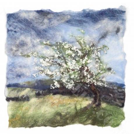 Spring Hawthorn