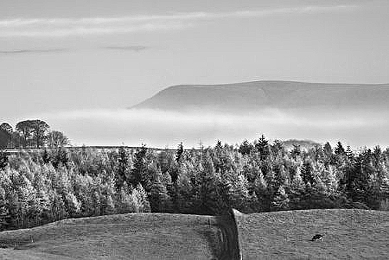 Pendle Hill Bowland