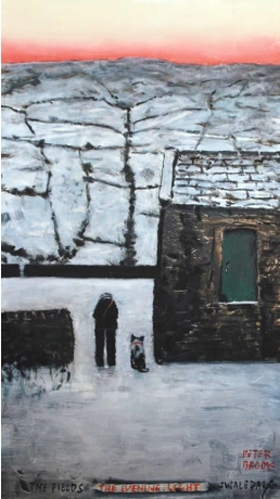 The Fields in Swaledale