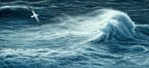 Southern Ocean- Wandering Albatross