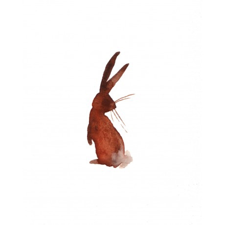 Rabbit 11