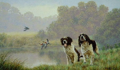 Water Sports - Springer Spaniels