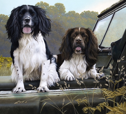 Off Roaders - Springer Spaniels