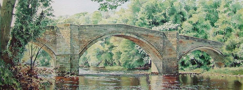 Kingfishers at Barden Bridge