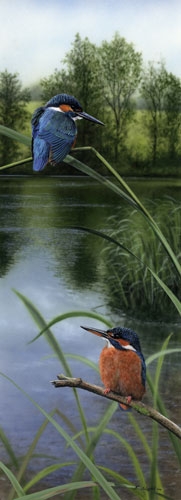 At the Waters Edge