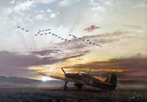 The Fly Past