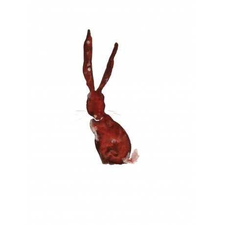 Rabbit 1
