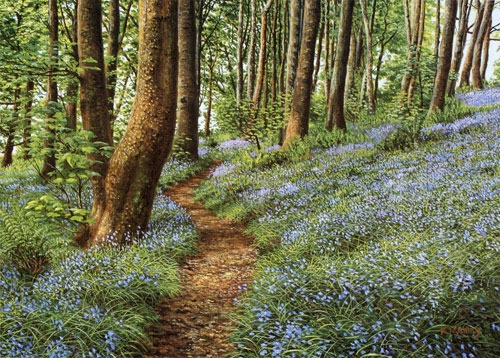 Bluebells,Haslost Wood 11