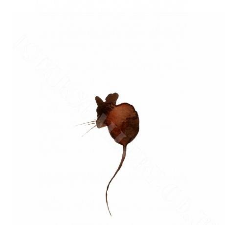Mouse 1