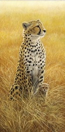 Alert-Leopard and Cub